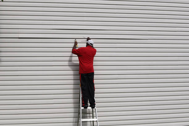 Best Aluminum Siding Installation  in Mountain Iron, MN