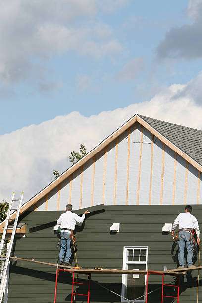 Best Historical Building Siding Restoration  in Mountain Iron, MN